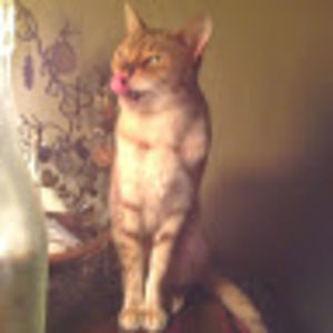 Meet your Posher, Maria